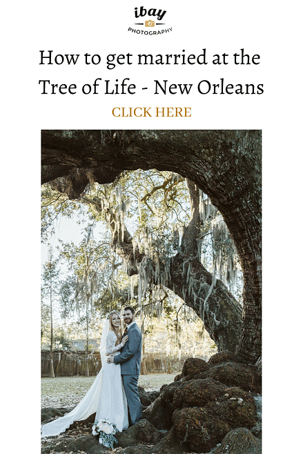 How to get married at the Tree of Life in Audubon Park New Orleans best elopement ideas