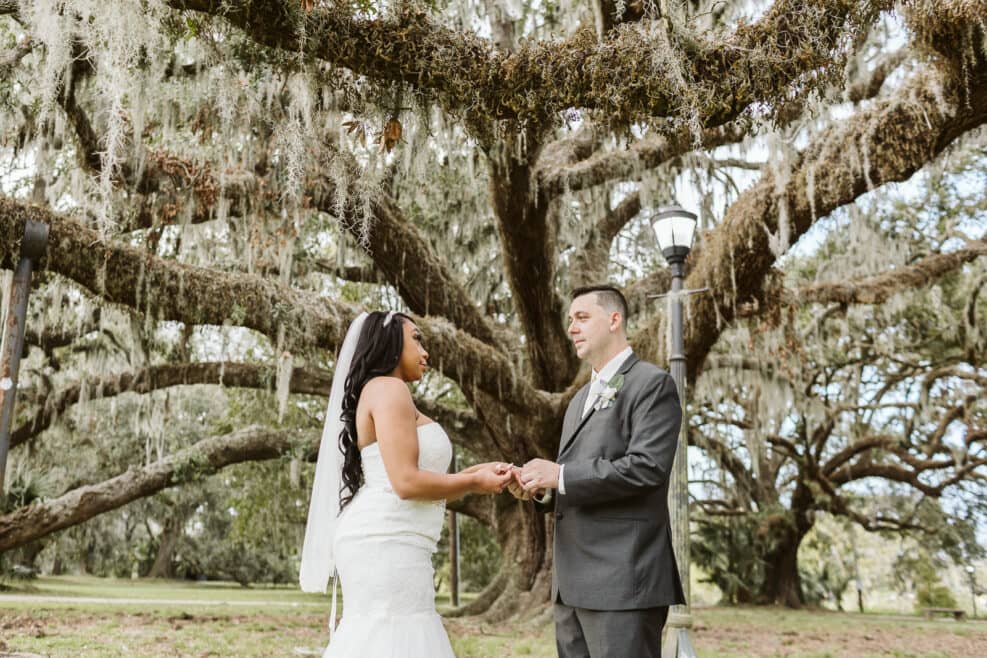Elopement Packages New Orleans tree