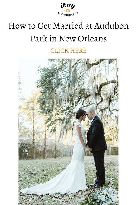 How to Get Married at Audubon Park in New Orleans Louisiana